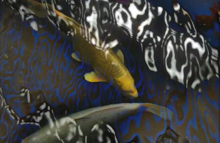 Flow- K Wassell 50 rez